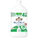 ライオン キレイキレイ 薬用液体ハンドソープ 特大サイズ つめかえ用 (800mL) 詰め替え用　医薬部外品
