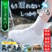 ���C���V���[�Y�J�o�[ ���C���V���[�Y  ���f�B�[�X �����Y �h�� �L�b�Y �q�� �y�� ������� ���C���u�[�c �X�j�[�J�[ ���[�t�@�[ �p���v�X ���� ���]��