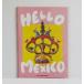 [HELLO MEXICO BY OKATAOKAokataoka]