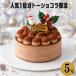 �����@���艿�i �N���X�}�X�P�[�L 2026 �K�g�[�V���R�� 5�� �`���R���[�g �`���R �P�[�L 4�`6�l�p �Ⓚ �������� ���� �l�C�P�[�L����  x21005