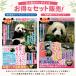 * предварительный заказ прием * день . Panda i 1 &2. комплект Panda день .gen большой Ueno зоопарк автомобиль o автомобиль o Ray Ray Tintin 