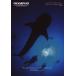 OLYMPUS Olympus водонепроницаемый протектор объединенный каталог / '13.03( новый товар )