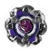 [ одиночный товар ]BEYBLADE X Bay Blade X [06]laino звуковой сигнал 5-80Q BX-31 Random бустер Vol.3 ( простой упаковка ) одиночный товар [ Bay код приложен ]