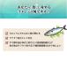 DHA EPA �T�v�� ���R�� �I���K3�n���b�_ ���̌b��DHA&EPA 90�� 30���� �@�\���\���H�i �������b�΍� ���N�ێ��T�|�[�g ���s��i�H�Ɓy�ܖ�����2028.3-�z �֘A�摜3
