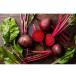 �}�W�b�N�^�C�� �X���C�X �r�[�c 236g�~6�Z�b�g beterraba sliced beets magic time �r�[�g �A�����J�Y �����ۑ� �֘A�摜2