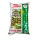  Thai жасмин рис 5kg THAI JASMINE LOTAS ARROZ 5KG Thai рис Be gun gru тонн свободный жасмин рис 