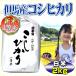 お米2kg コシヒカリ 兵庫県 但馬産 特A米 一等米 有機質肥料使用 当日精米 30年産 タイムセール 安い