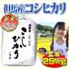 お米 米 玄米 25kg 白米 22.5kg コシヒカリ 兵庫県 但馬産 特A米 一等米 有機質肥料使用 送料無料 令和元年産 タイムセール 安い