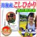 ポイント増量中 28年産 こしひかり 2kg 白米 分づき可 京都府 丹後産 わのちから 一等米 特別栽培米 当日精米　