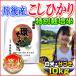 新米 29年産 こしひかり 白米 10kg（5kg×2袋） 分づき可 丹後産 わのちから 一等米 分づき可能 特別栽培米 送料無料
