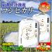 お米 玄米 10kg こしひかり 京都米 丹後産 （5kg×2袋） 一等米 大嘗祭 30年産 タイムセール 安い