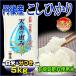 お米 5kg こしひかり 当日精米 丹後産 天水の恵み（白米・分搗き） 一等米 28年産