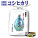 お米 5kg こしひかり 京都米 丹後産 天水の恵み（白米・分搗き） 一等米 当日精米 大嘗祭 30年産 タイムセール 安い