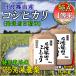 新米 お米 10kg コシヒカリ 特別栽培米 7.5割農薬減 兵庫県 丹波篠山産 白米 分づき可 選べる 特A 一等米 送料無料 当日精米 令和元年産 タイムセール 安い