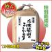 在庫限り お米 5kg コシヒカリ 特別栽培米 7.5割農薬減 兵庫県 丹波篠山産 白米 分づき可 特A 一等米 送料無料 当日精米 訳あり 29年産