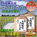 お米 10kg コシヒカリ 玄米 5kg×2 特別栽培米 7.5割農薬減 兵庫県 丹波篠山産 特A 一等米 送料無料 30年産 タイムセール