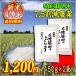 お米 米 コシヒカリ 白米 玄米 小分け 450ｇ 7.5割農薬減 兵庫県 丹波篠山産 一等米 全国送料無料 メール便 令和元年産 タイムセール 安い