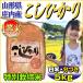 訳あり お米 5kg コシヒカリ 白米 当日精米 山形県庄内産 一等米 特別栽培米 29年産