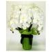 *[TS-108] artificial flower TS-108. butterfly orchid pot 3ps.@ establish white free shipping 93515