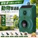 �� ���� �J���X�悯 �����g ���悯�O�b�Y ���悯 �\�[���[�[�d USB-C�[�d IP54�h���h�o 120�� 60m���m�͈� �L/��/���悯 �L���� ���b�Q�h�~ �Ǌ|���^ �����E���O