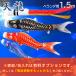  коинобори koinobori веранда небо дракон 1.5m дом . inserting * имя inserting возможность дуть сток 