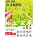 無農薬玄米20kg 20キロ 農家直送 福岡県産 ヒノヒカリ 令和５年新米早期予約 送料無料 玄米 白米