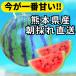 su.. арбуз 1 шар примерно 5kg~6kg передний и задний (до и после) Kumamoto префектура производство тщательно отобранный .. фрукты Meister 