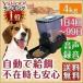 自動給餌器 自動給餌機 タイマー 大容量 犬 猫 音声録音 自動餌やり器 オートペットフィーダー ペット用品 ペットグッズ 99日まで 送料無料