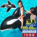 1 год гарантия float колесо ослабленное крепление . кит type float jumbo ho e-ru rider большой электрический насос воздушный насос 185cm море Pooh рубин chi морская вода . водные развлечения бесплатная доставка 