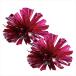 AR4521718195322a- Tec удобно Cheer pompon название . есть розовый серебряный 