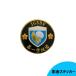  гравировка стикер Ground Self-Defense Force 1st AIRBORNE no. 1 пустой .. эмблема диаметр 75mm # сделано в Японии JGSDF милитари Ground Self-Defense Force 