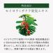 �X�J���v�P�A | ���E�J�X�^ �A���}�G�X�e �X�L�����v �N�����W���O ���t�@�C�� | La CASTA ���J�X�^ ����P�A ���� �X�J���v �֘A�摜4