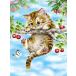  бриллиант искусство симпатичный кошка mo The ik искусство бриллиант pe Inte бриллиант покраска 5D ручная работа симпатичный модный искусство товар оборудование орнамент DIY рукоделие 