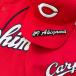 [ почтовая доставка бесплатная доставка ][ Hiroshima carp вышивка нашивка #9 осень гора номер ] осень гора sho ./carp/ отвечающий ./ вышивка / Uni Home 