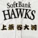 SoftBank Hawk s вышивка нашивка сверху чай . имя / сверху чай . большой река /hawks/ отвечающий ./ вышивка / Uni Home 