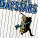  срок поставки внимание [ Yokohama DeNA Bay Star z вышивка нашивка тубус . имя есть Silhouette ][ новый / край вышивка ] тубус .../ cusomize 