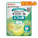  Pigeon планшет U xylitol + фтор свежий дыня тест 1 лет 6. месяц примерно из 65 шарик 