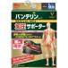  van te Lynn ko-wa supporter for waist fixation type man for women largish size ( waistline 80-100cm) black 1 sheets insertion 