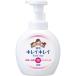 【医薬部外品】キレイキレイ　薬用　泡　ハンドソープ　本体　大型　大容量　500ml