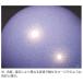 �T�T�L�X�|�[�c SASAKI �V�̑� ��� �I�[�����{�[�� M-207AU-F M207AUF ���ۑ̑��A���F��i �֘A�摜2