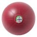nisi спорт NISHInemometisin мяч 6kg NT5886C-960