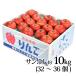 12 месяц 7 до дня заказ прием яблоко солнечный .. примерно 10kg 32~36 шар JA Soma Aomori префектура производство отправка 11 месяц последняя декада из подарок SM3