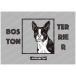 [D4.BOSTONTERRIER] Alpha Beta s оригинал цифровой искусство цифровой картина оборудование включая 