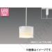 LED�y���_���g���C�g LEDP85012R ���Ń��C�e�b�N�iTOSHIBA�j���C�e�B���O���[���E�z���_�N�g���[���p �Ɩ�