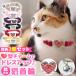  ошейник для кошки Heart очарование колокольчик имеется одного цвета 2 шт. комплект кошка ошейник безопасность колокольчик модный симпатичный ошейник для кошки домашнее животное товары подарок имя легкий колокольчик есть кошка. . пробег предотвращение кошка ..