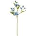  blue star Curren FM006237 005 голубой blue star MAGIQ Tokyo .a-ti автомобиль ru цветок искусственный цветок 