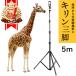 [ огромный высота 5m!] жираф штатив lapset штатив смартфон 5m Super Long .. фотосъемка смартфон подставка высоты фотосъемка iphone Android видео камера соответствует движение . бесплатная доставка 