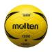 molten(moru тонн ) гандбол nebaX1200 2 номер обучающий материал для закрытый специальный желтый H2X1200-Y