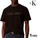  Calvin Klein футболка короткий рукав CALVIN KLEIN мужской tops иностранная модель Standerd Logo Classic Tee