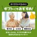 ���ڃ}�b�g ���c�{�}�b�g �w���{�[�h ���N�O�b�Y �����N�[�[�V���� �����}�b�T�[�W �܂肽���ݎ� �����݃}�b�g �ȒP�G�N�T�T�C�Y �֘A�摜5